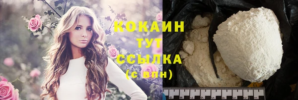 молекула духа Белокуриха