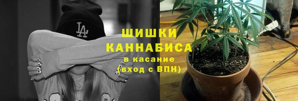 PSILOCYBIN Балахна
