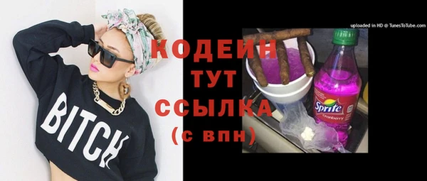 молекула духа Белокуриха